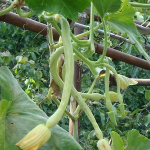 Appartamento I Girasoli, Ventimiglia
